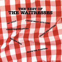 Přední strana obalu CD The Best Of The Waitresses