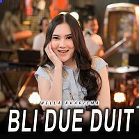 Přední strana obalu CD Bli Due Duit