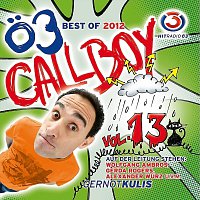 Gernot Kulis – Ö3 Callboy Vol. 13: Best of 2012