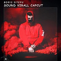 Boris Sitepu – Sound Virall Capcut