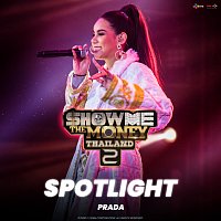 PRADAA – Spotlight