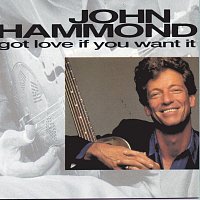 John Hammond – Got Love If You Want It