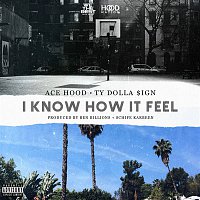 Ace Hood, Ty Dolla $ign – I Know How It Feel