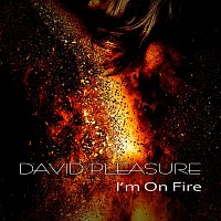 Přední strana obalu CD I'm on Fire