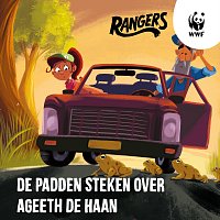 Přední strana obalu CD De Padden Steken Over