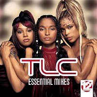 TLC – 12" Masters - The Essential Mixes