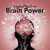 Chris Snelling, Robyn Goodall, Nils Hahn, Chris Mercer, James Shanon – Classical Music for Brain Power