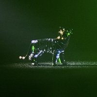 Přední strana obalu CD China Tiger