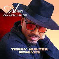 Can We Fall In Love [Terry Hunter Remixes]