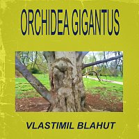 Vlastimil Blahut – Orchidea gigantus MP3