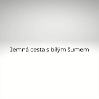 Přední strana obalu CD Jemná cesta s bílým šumem