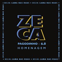 Zeca Pagodinho, Melim – Lama Nas Ruas