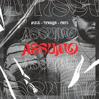 NIZZ, Torres, Ort1 – assumo