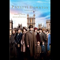 Různí interpreti – Panství Downton 5. série DVD