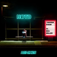 I Wanna Know [Remixes]