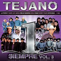 Přední strana obalu CD Tejano #1´s Siempre [Vol.3]