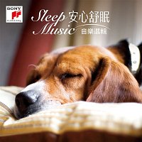 Přední strana obalu CD Sleep Music