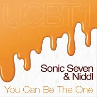 Sonic Seven, Niddl – You Can Be the One