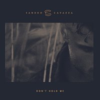 Sandro Cavazza – Don't Hold Me