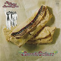Přední strana obalu CD Burrito Deluxe