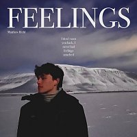 Matthew Ifield – Feelings