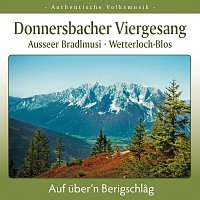 Donnersbacher Viergesang, Ausseer Bradlmusi, Wetterloch-Blos – Auf uber'n Berigschlag