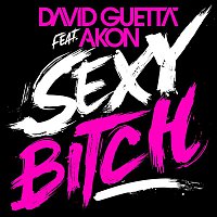 David Guetta – Sexy Bitch