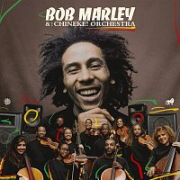 Bob Marley & The Wailers, Chineke! Orchestra – Redemption Song