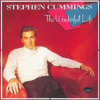 Stephen Cummings – This Wonderful Life