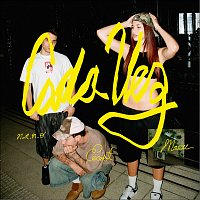 Maru Rogers, Eicost, n.a.n.o – Cada Vez