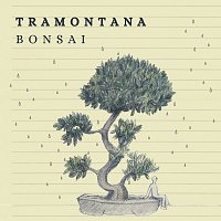 Tramontana – Bonsai