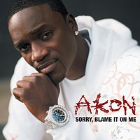 Akon – Sorry, Blame It On Me