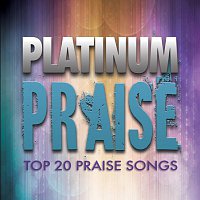 Maranatha! Praise Band – Platinum Praise