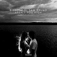 Bisbetic – Aren't You High (feat. Sam Bruno)