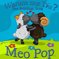 Meo Pop – Warum nur Dir?