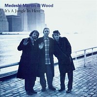 Medeski, Martin & Wood – It's A Jungle In Here
