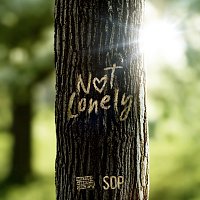 Gestort aber GeiL, SDP – Not Lonely