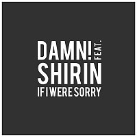 Damn!, Shirin – If I Were Sorry