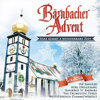 Různí interpreti – Barnbacher Advent