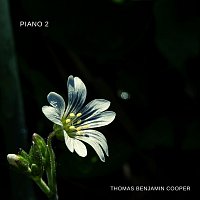 Thomas Benjamin Cooper – Piano 2