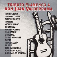 Various  Artists – Tributo Flamenco A Don Juan Valderrama