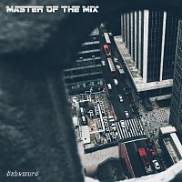 Master Of The Mix