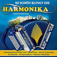 DIVERSE INTERPRETEN – So schon klingt die Harmonika