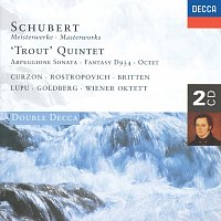 Různí interpreti – Schubert: Masterworks 2