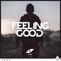 Avicii – Feeling Good