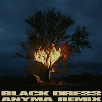 070 Shake, Anyma – Black Dress [Anyma Remix]