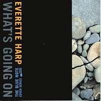 Everette Harp – What's Going On