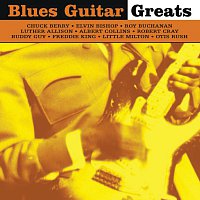 Různí interpreti – Blues Guitar Greats
