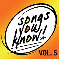 Various  Artists – Songs You Know - Volume 5