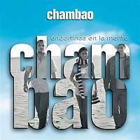 Chambao – Endorfinas En La Mente - Disc Box Sliders